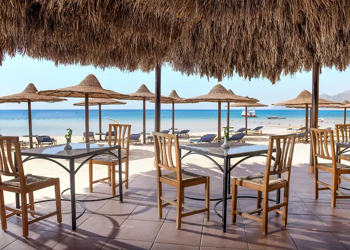 Jaz Dahabeya Dahab
